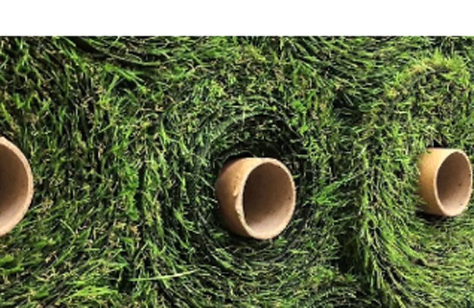 Artificial Grass Supply