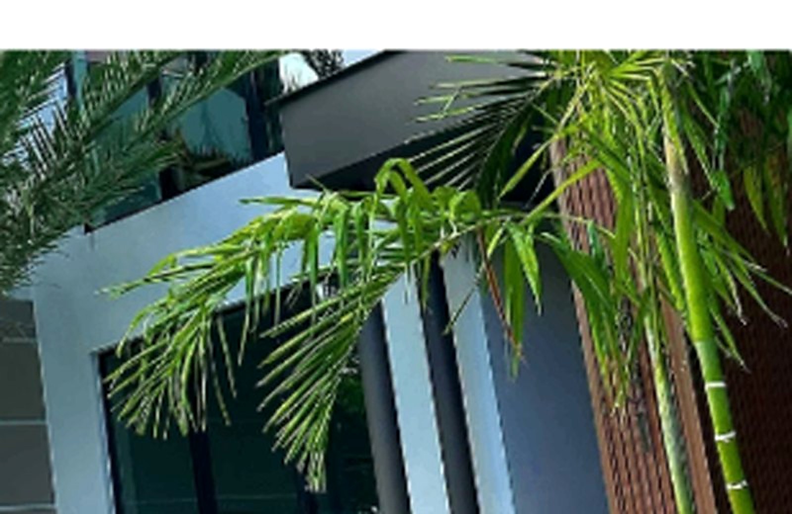 Landscaping Design