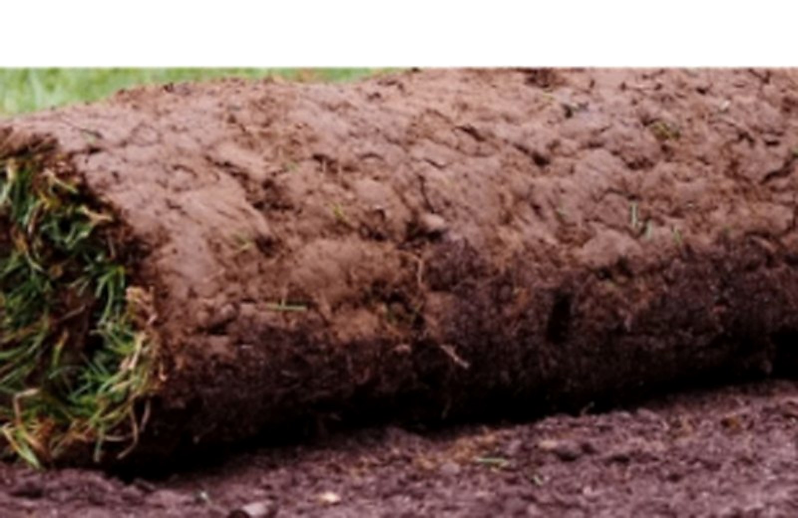 Sod Installation
