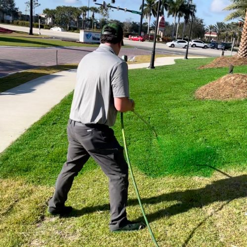 Turf-Paint-americanartificial-grass